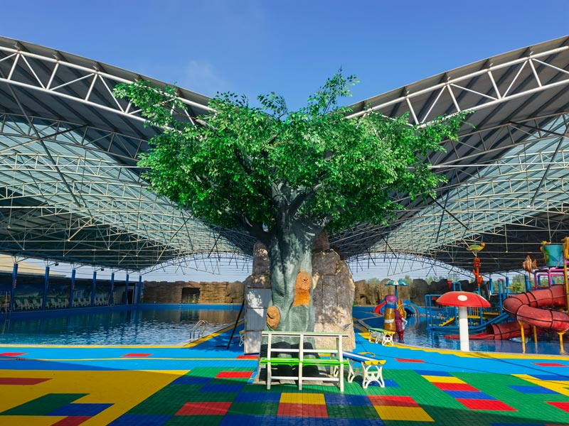 ɽ�����궯ֲ��԰ˮ����